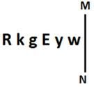 Question Figure
