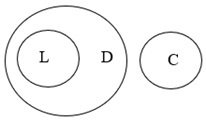Option B