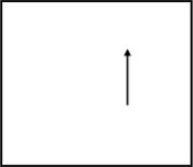 Option B