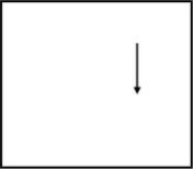 Option C