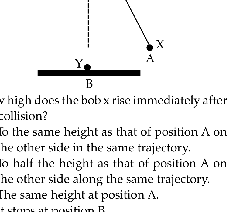 Pendulum Collision